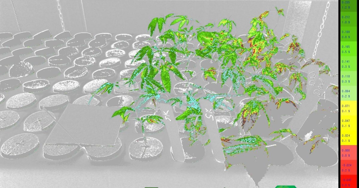 GrowLife, Inc. Partners with Emerald Metrics