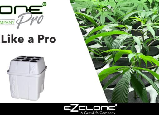 GrowLife, Inc. Launches Hemp Focused EZ-CLONE Platform