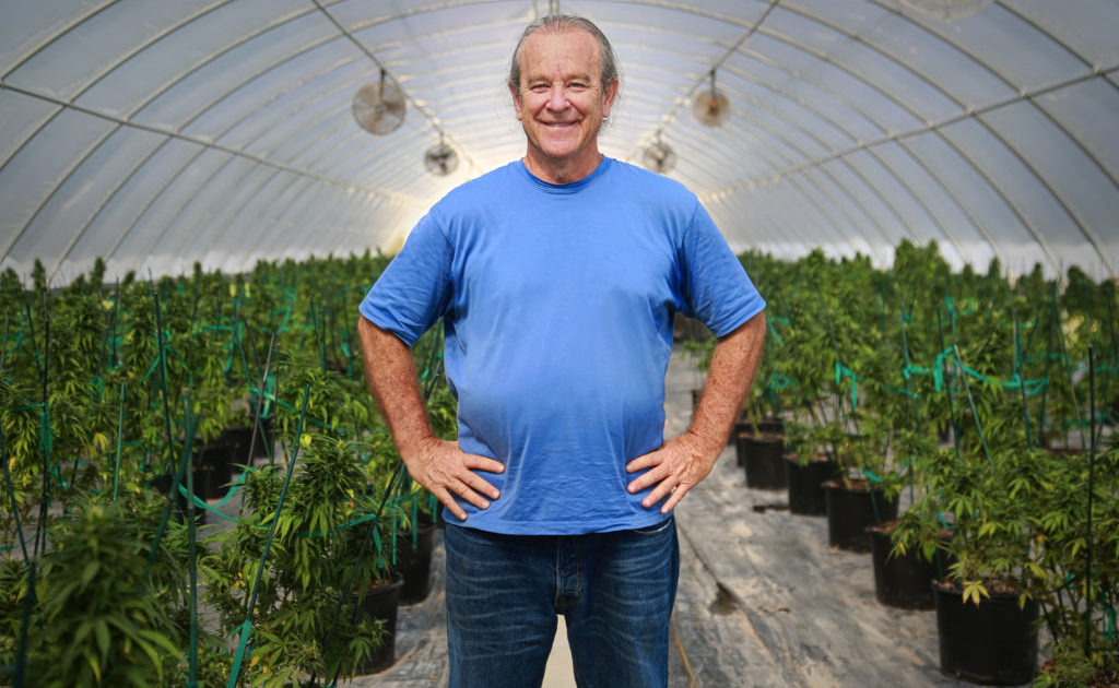 Hemp, Inc. Applauds Research Surrounding the Antiviral Potential of Cannabis Compounds