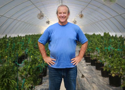 Hemp, Inc. Applauds Research Surrounding the Antiviral Potential of Cannabis Compounds